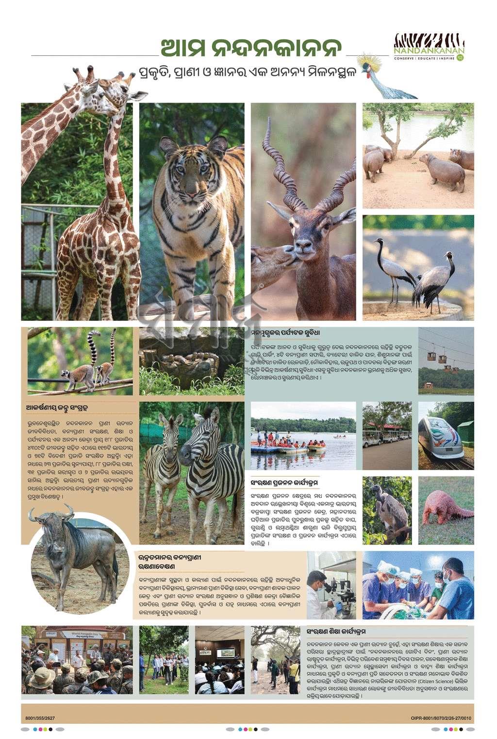 Sambad Epaper - Page 2