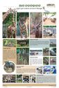 Sambad Epaper - Page 2