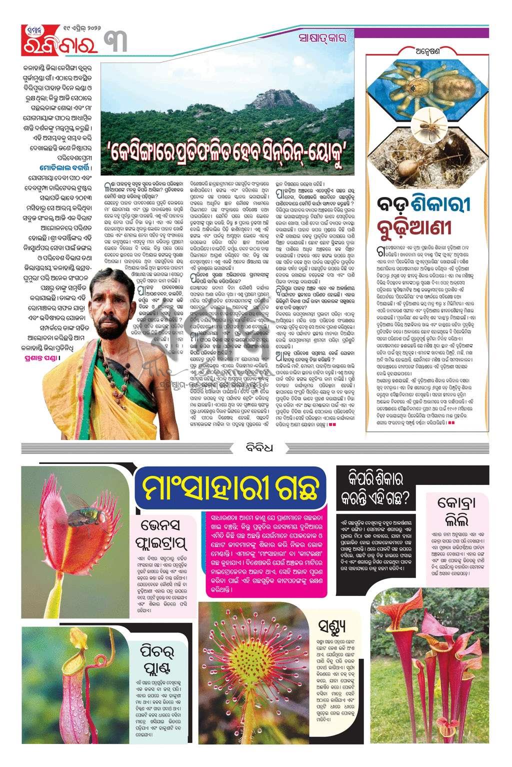 Sambad Epaper - Page 3