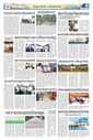 Sambad Epaper - Page 6