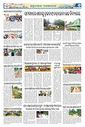 Sambad Epaper - Page 6