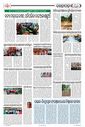 Sambad Epaper - Page 10